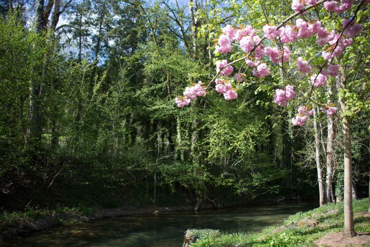 Gite Moulin De La Serree Nuits-Saint-Georges Buitenkant foto